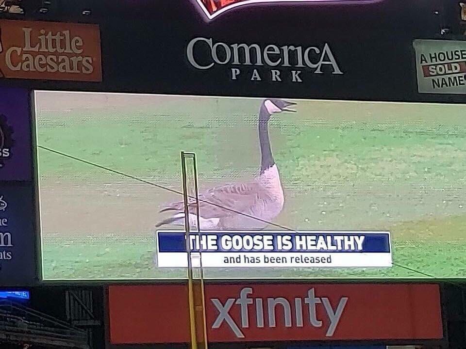 has been released