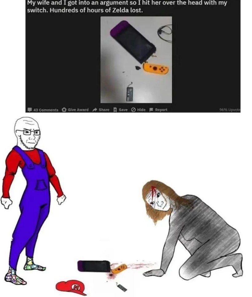 it her over the head wit my My wite and I got into an argument so I switch. Hundreds of hours of Zelda lost.