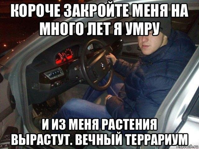 КОРОЧЕ ЗАКРОИТЕ МЕНЯ НА МНОГО ЛЕТЯ УМРУ 7 ИИЗ МЕНЯ РАСТЕНИЯ ВЫРАСТУТ. ВЕЧНЫЙ ТЕРРАРИУМ