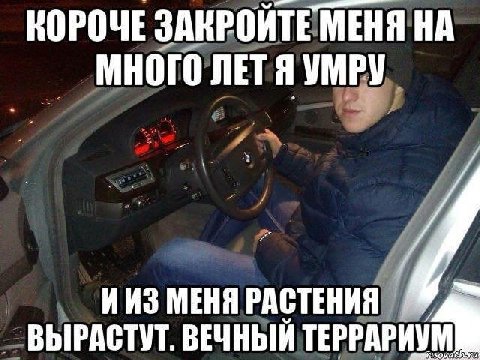 КОРОЧЕ ЗАКРОИТЕ МЕНЯ НА МНОГО ЛЕТЯ УМРУ 7 ИИЗ МЕНЯ РАСТЕНИЯ ВЫРАСТУТ. ВЕЧНЫЙ ТЕРРАРИУМ