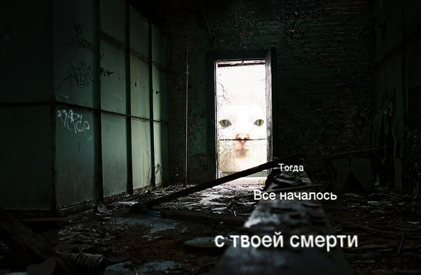 Тогда Все началось с твоеи смерти