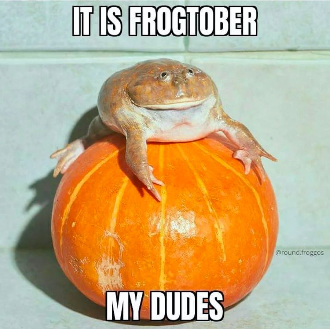 с a 3 Я 4 ЧЕХ 4 MY DUDES