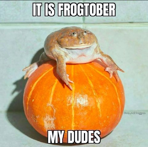 с a 3 Я 4 ЧЕХ 4 MY DUDES