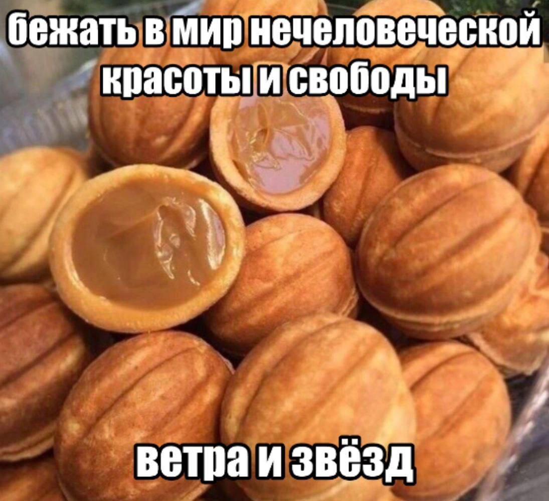 бежать в мир нечеловеческой красоты и свободы 4 ветра и звёзд