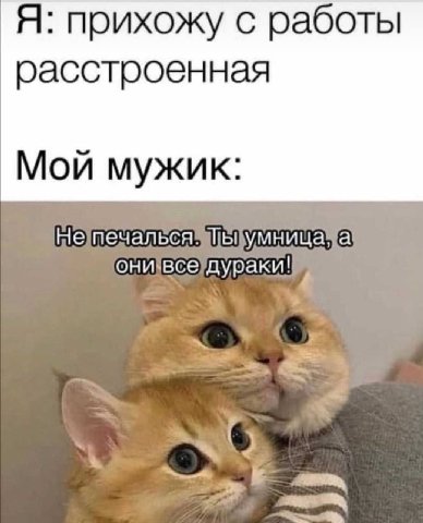Я: прихожу с работы расстроенная Мой мужик: онивсе?дураки!
