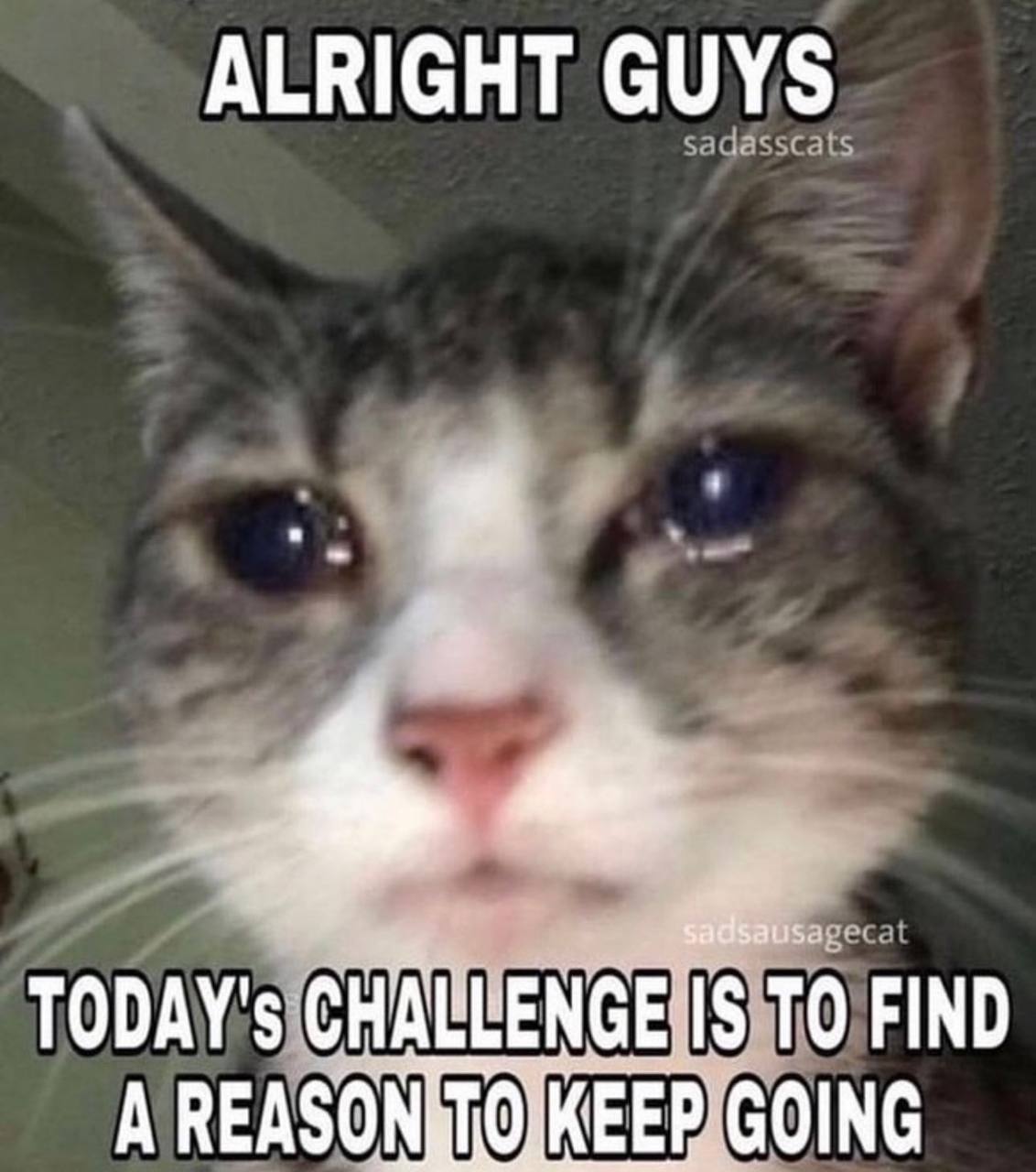 ALRIGHT GUYS sadsa TODAY's CHALLENGE'IS TO FIND A EEP GOING