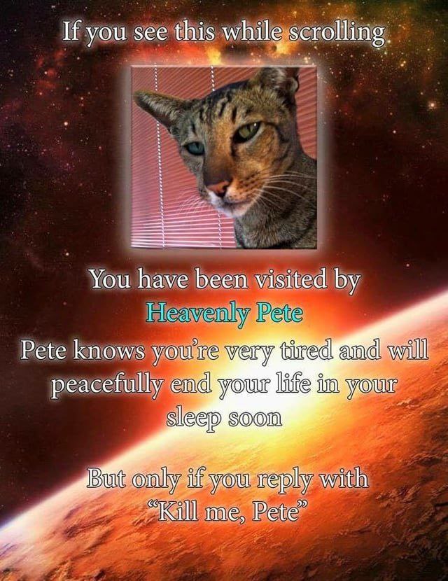 If you see this You have been visited Рае knows very tired and will your litte youy Sleep soom rout But.© me,