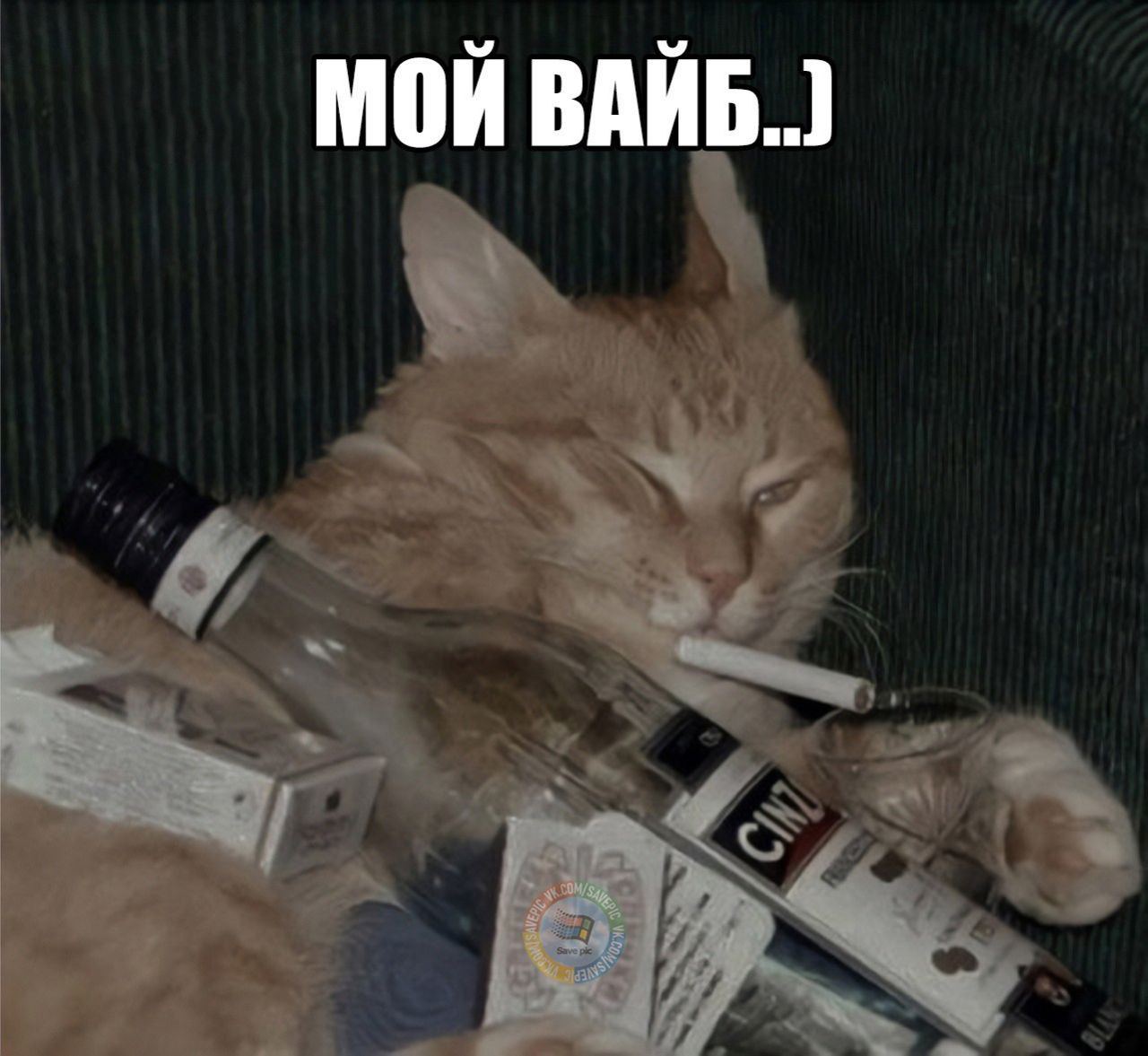 МОЙ