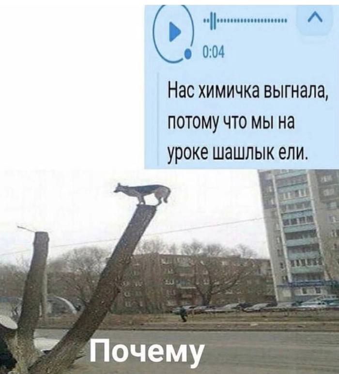 0:04 Нас химичка выгнала, NOTOMY что мы уроке шашлык ели. Почему