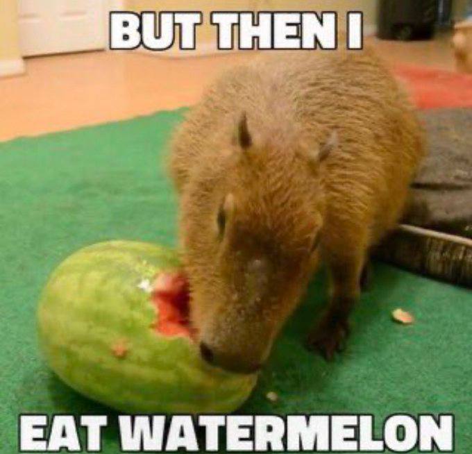 EAT WATERMELON