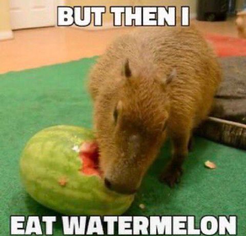 EAT WATERMELON